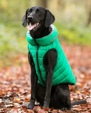 Reversible Dog Puffer Jacket - Dark Green and Grey