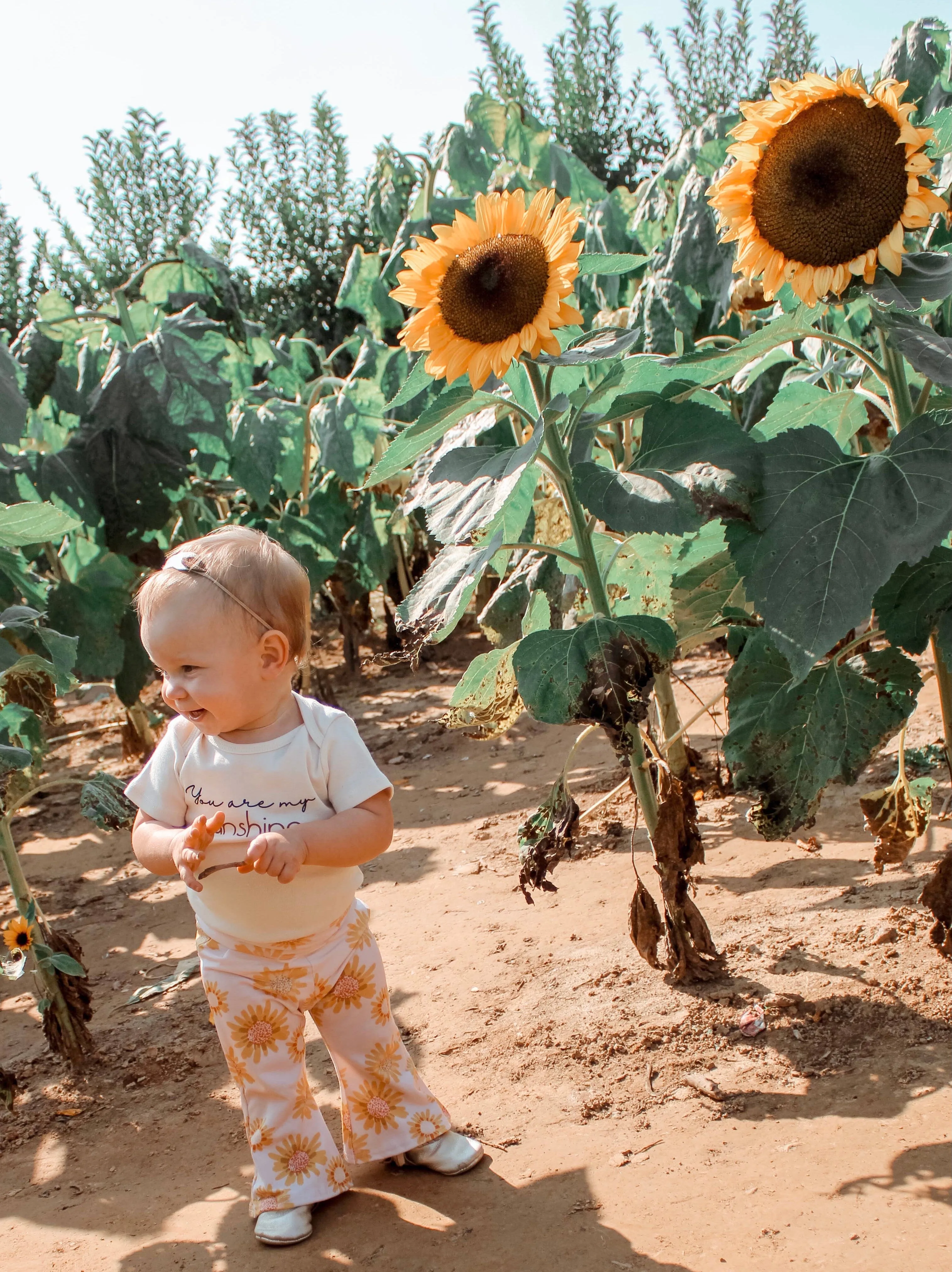 Sunflower Bell Bottoms