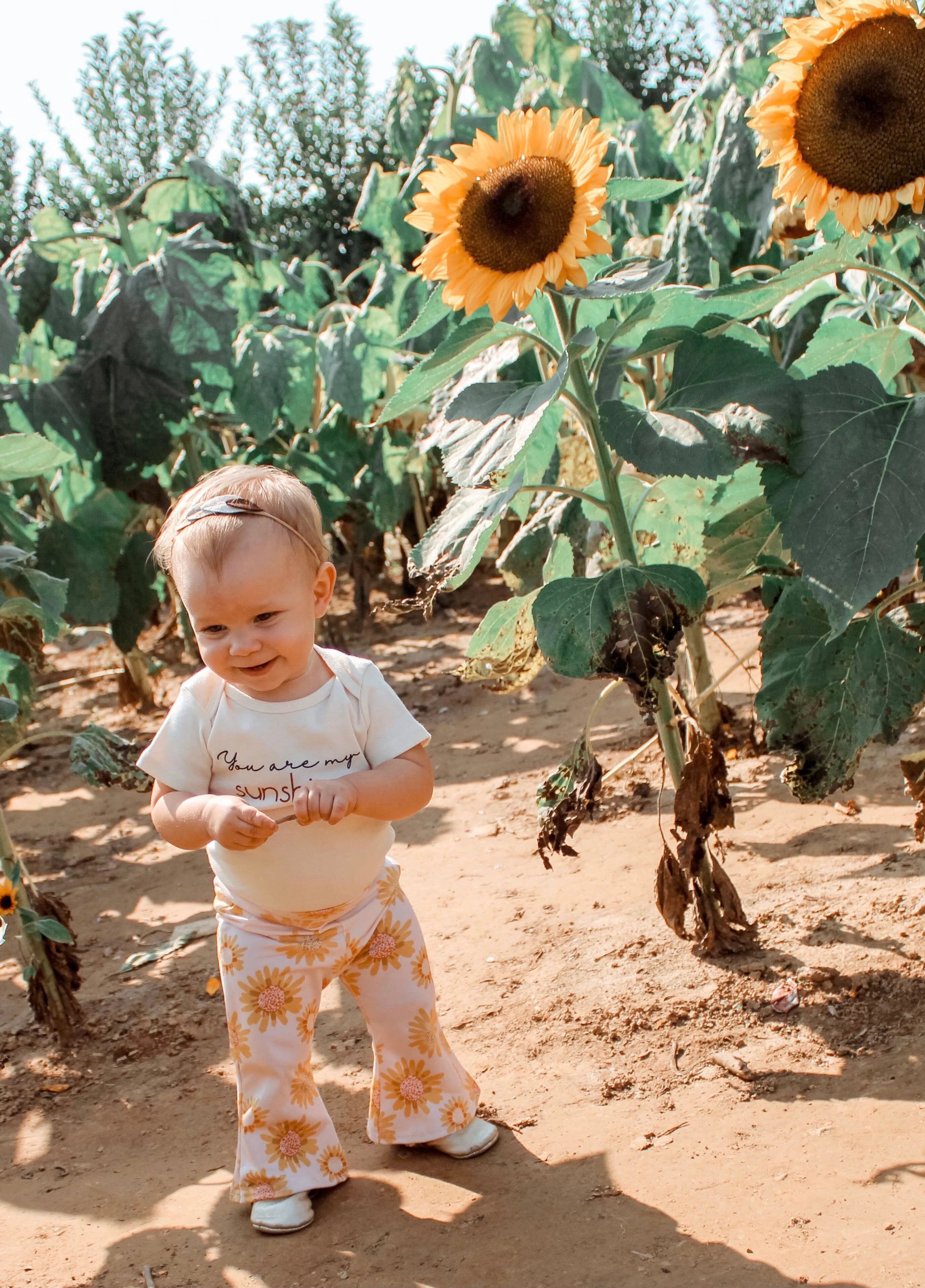 Sunflower Bell Bottoms